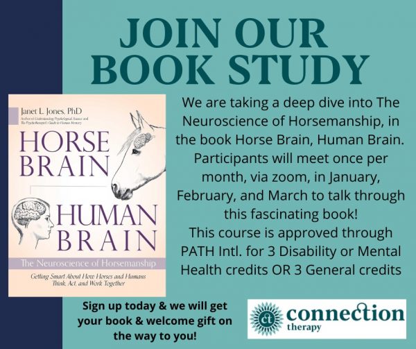 Human & Animal Connection Book Study Group – Winter – Connection Therapy